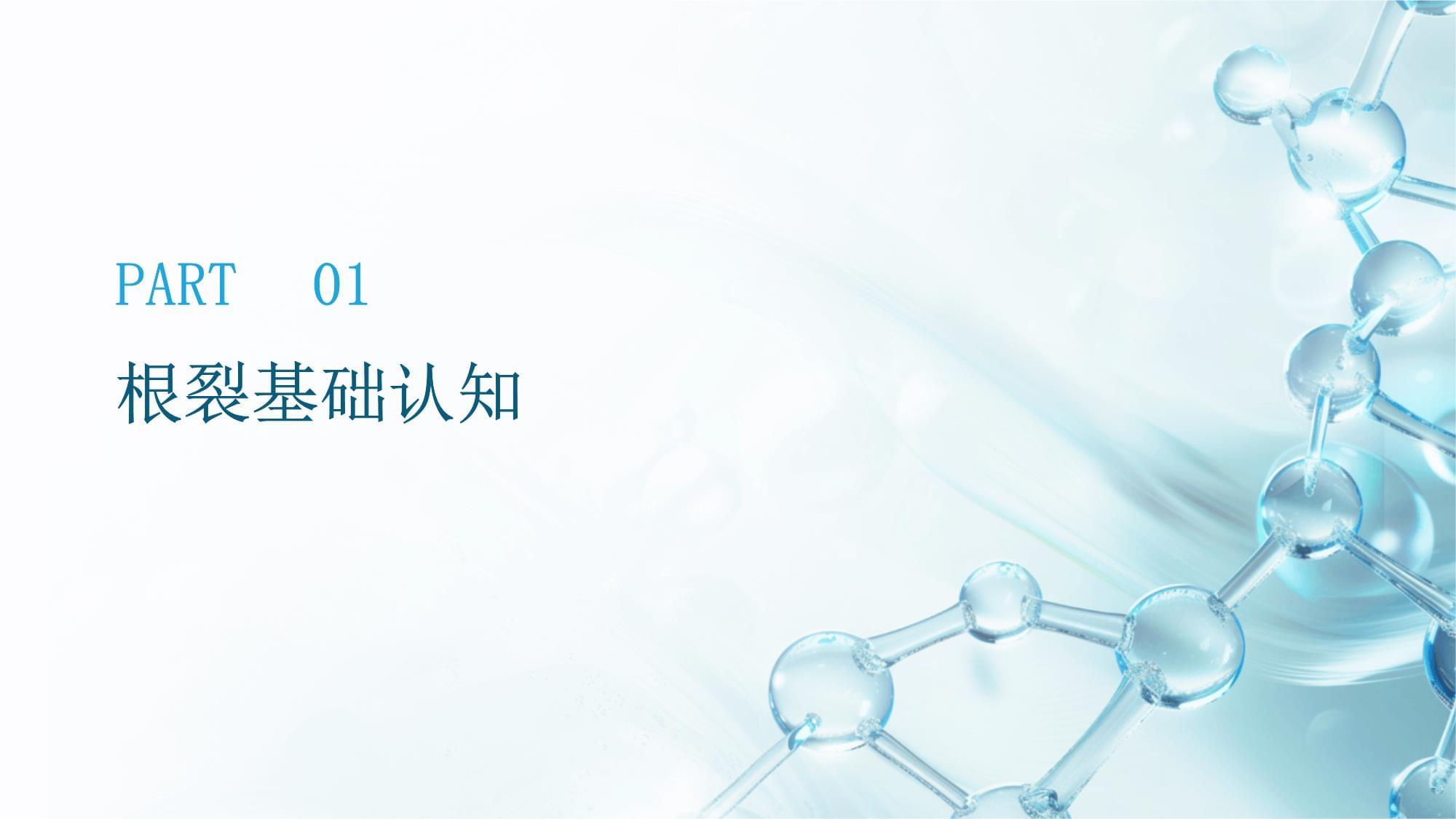 口腔牙齒根裂的臨床診療體系構建與優化——提升口腔診療服務質量的關鍵路徑